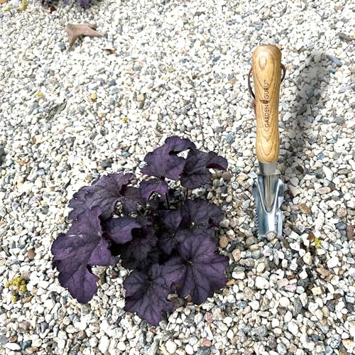 Garden Guru Hand Weeder Trowel with Ergonomic Handle – Stainless Steel Weeding & Digging Knife – Rust Resistant - Perfect for Weeding, Transplanting, Digging, Pruning, Cutting (2Pack) - size: 2 Pack