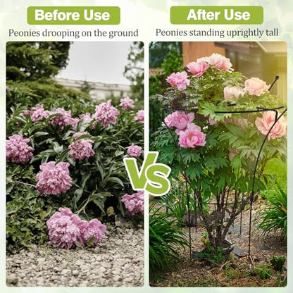2 Pack Large Peony Cages and Supports, 38" H x 19" D Tall Heavy Duty 5mm Black Metal Garden Stakes for Outdoor & Indoor Plants, Sturdy Rust-Resistant Frame for Peonies Roses Flowers - size: 2 Pack