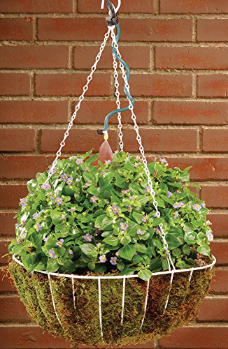 Orbit 56318 Hanging Basket Drip Irrigation Drip Watering Kit with 1-Outlet Digital Hose Faucet Sprinkler Timer - size: 1 pack, style: Traditional Timer