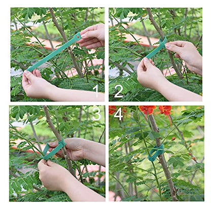 Hook and Loop Garden Plant Cable Ties, 100 Pcs, 8 Inch, Green