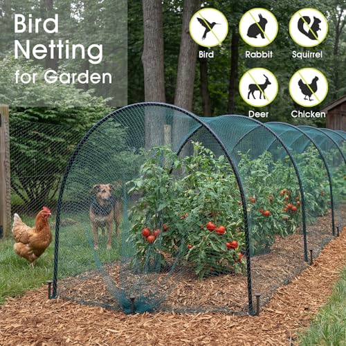 RIFNY Bird Netting for Garden Protection, Anti Bird Mesh Garden Netting - size: 13 x 16.5 FT - 5/8 inch Mesh