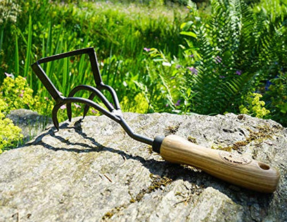 DeWit Culti-Weeder with Short Handle