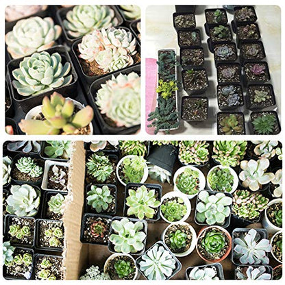 Square Nursery Pots 100 Pack 2.7 Inch Plastic Plant Pot with Drainage Holes Sturdy & Reusable Starter Container for Seedlings, Succulents & Garden Plants, Black