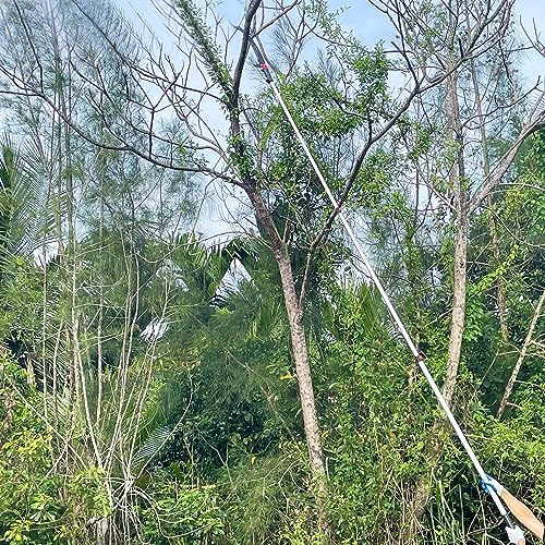 Pole Saw for Tree Trimming, Telescopic Manual Pruning Saw with Case