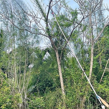 Pole Saw for Tree Trimming, Telescopic Manual Pruning Saw with Case