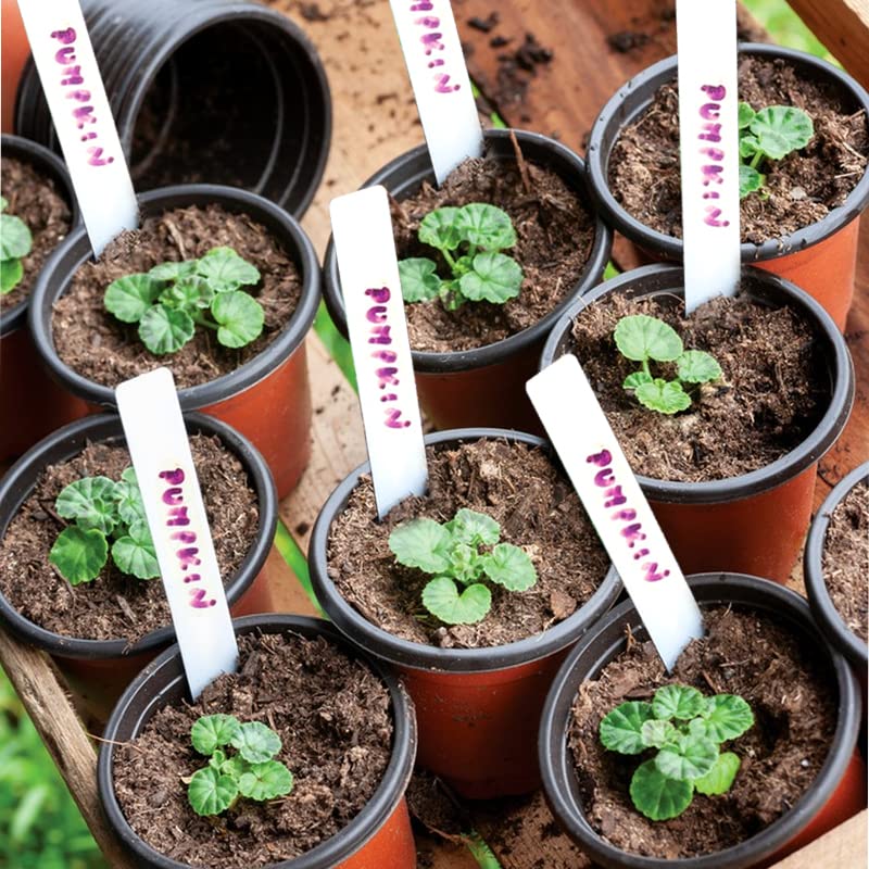 TDHDIKE 4" Small Plastic Plant Nursery Pots 100Pcs with Labels - size: 4inch100