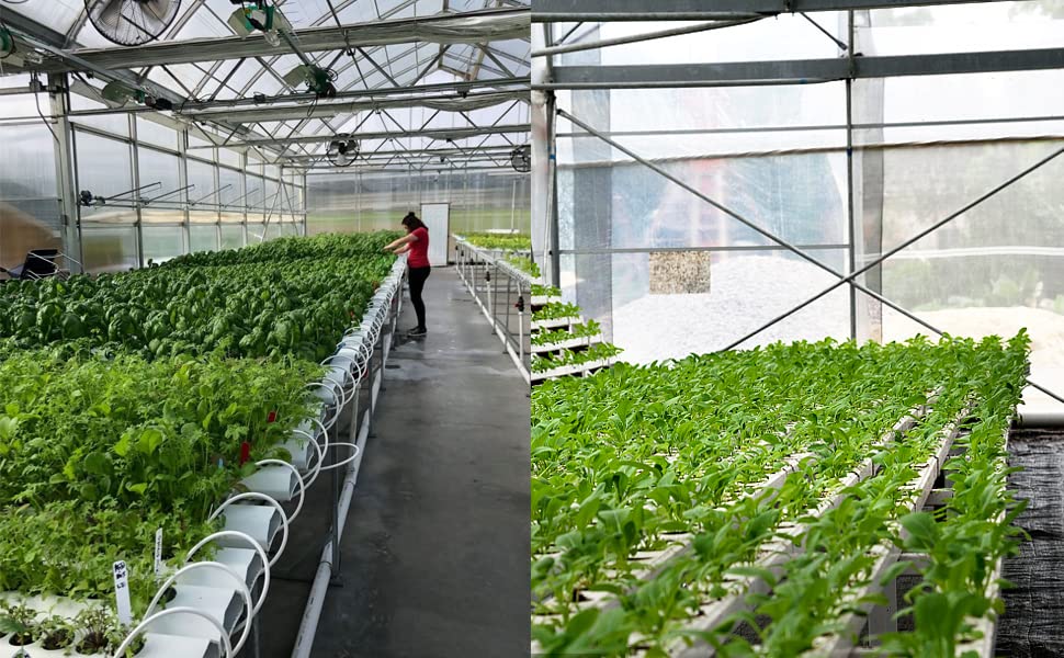 100PCS 1.75" Mesh Net Cup Pots Basket Hydroponics System Supplies Aquaponics Seed Growing Media Black - color: Black 100pcs