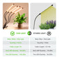 Grow Lights for Indoor Plants, 4 Heads Full Spectrum with Timer - color: 2Heads-Warm White (2Packs)