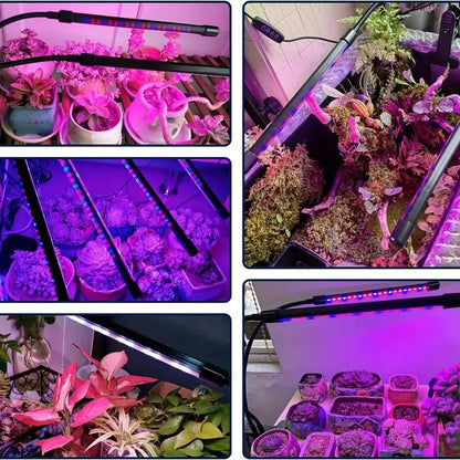 Full Spectrum 4 Heads LED Plant Grow Light for Indoor Plants - size: 4 heads