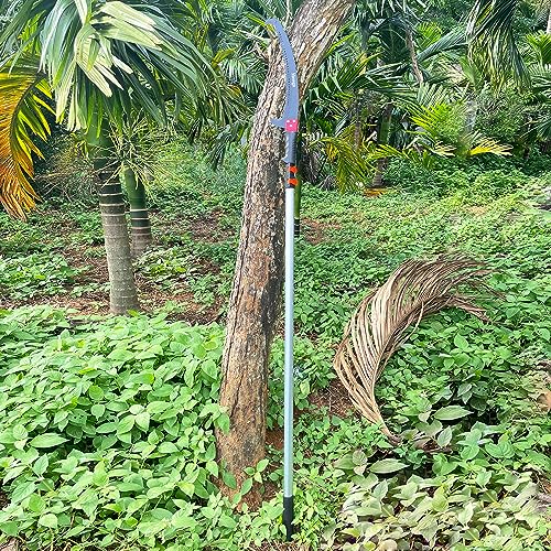 Pole Saw for Tree Trimming, Telescopic Manual Pruning Saw with Case