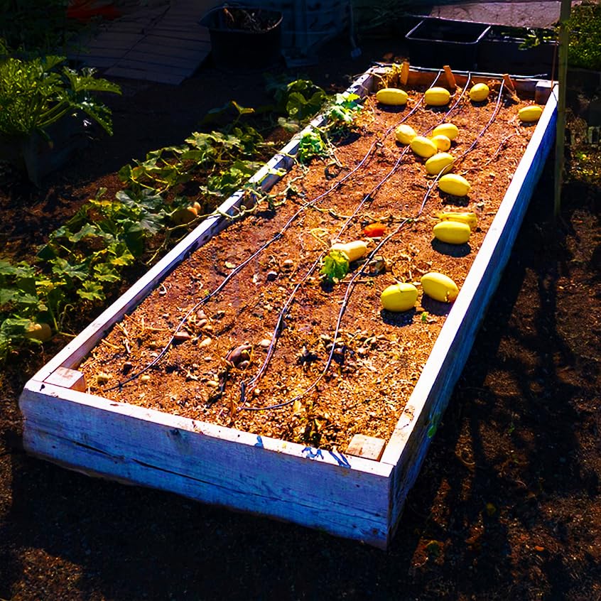 Drip Depot Drip Irrigation Kit for Raised Bed Gardening - Premium - 8 Raised Beds - size: Premium - 8 Raised Beds