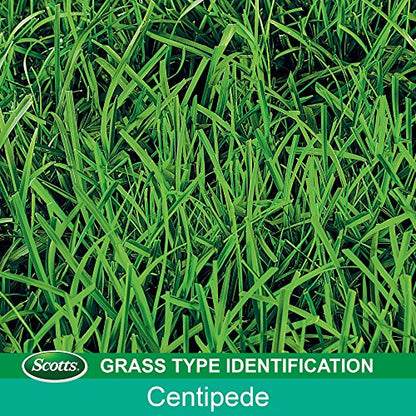 Scotts Turf Builder Grass Seed Centipede Grass Seed & Mulch, 5 lbs.