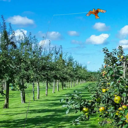 HENGDA KITE Bird Scarer Hawk Flying Kite ONLY 4M Pole Without Kite