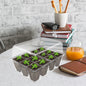 Gardzen 10 Pack Seed Starter Trays with Dome and Clear Base 120 Cell - color: Clear Trays With Clear Base