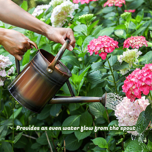1 Gallon Watering Can for Plants, Watering Cans for Indoor&Outdoor Gardening, Galvanized Steel Watering Pot with Removable Spout, Metal Water Can with Ergonomic Movable Handle(Copper) - color: Copper