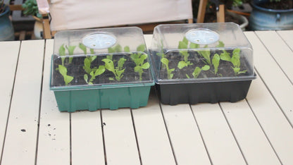 Gardzen 10 Pack Seed Starter Trays with Dome and Clear Base 120 Cell - color: Clear Trays With Clear Base
